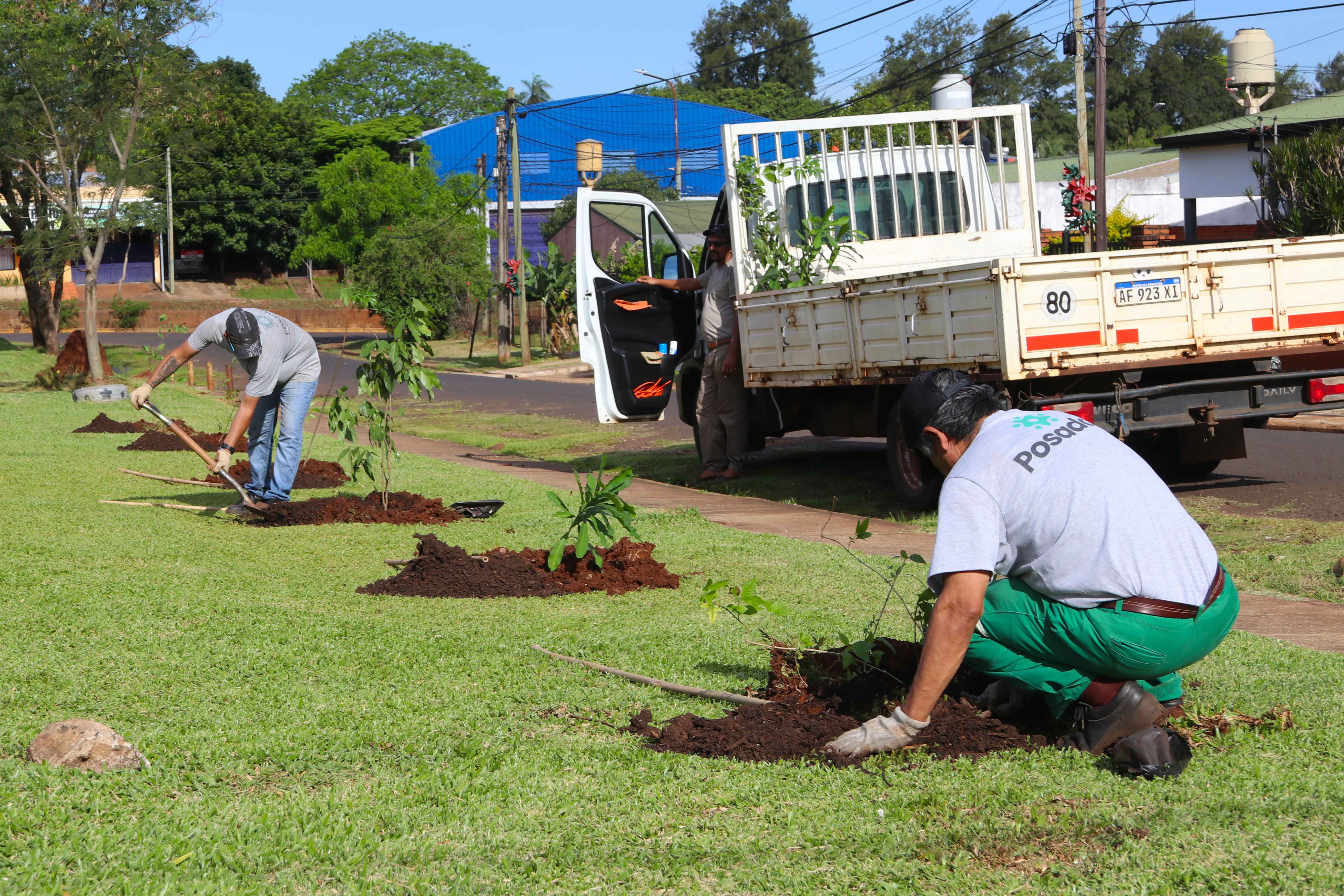 <p>"Barrios Más Verdes" realizó otra exitosa plantación de árboles</p>
